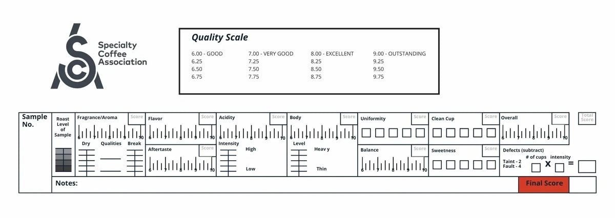 SCA cupping form: quality scale and per-attribute scoring
